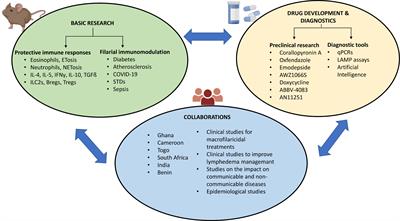 Filariasis research – from basic research to drug development and novel diagnostics, over a decade of research at the Institute for Medical Microbiology, Immunology and Parasitology, Bonn, Germany